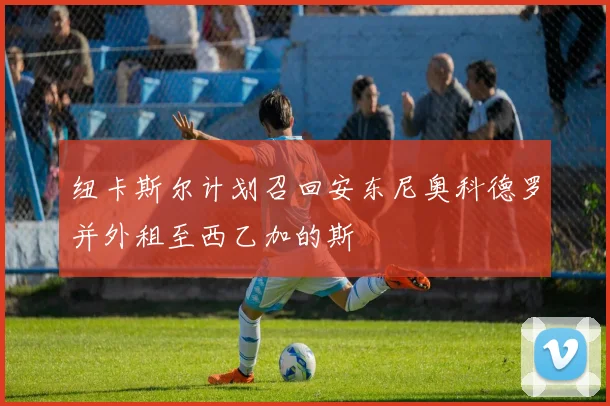 纽卡斯尔计划召回安东尼奥科德罗并外租至西乙加的斯