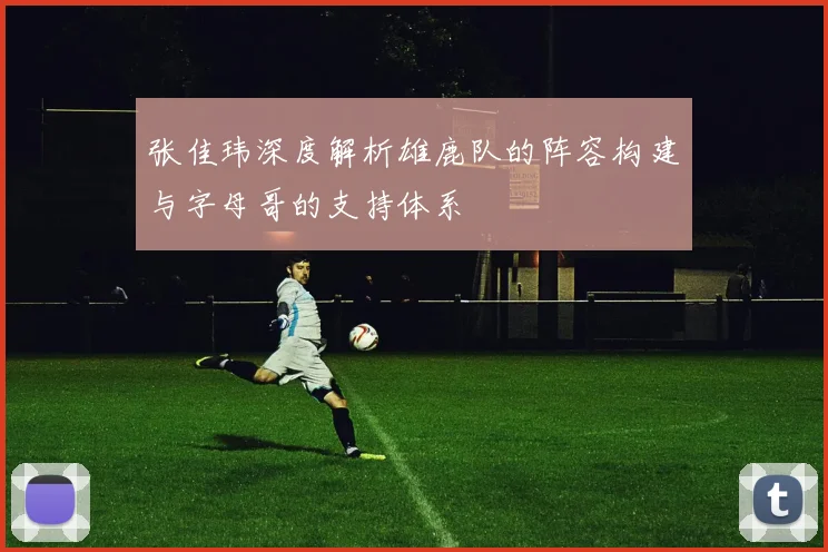 张佳玮深度解析雄鹿队的阵容构建与字母哥的支持体系