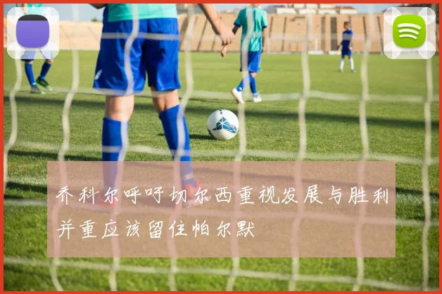 乔科尔呼吁切尔西重视发展与胜利并重应该留住帕尔默