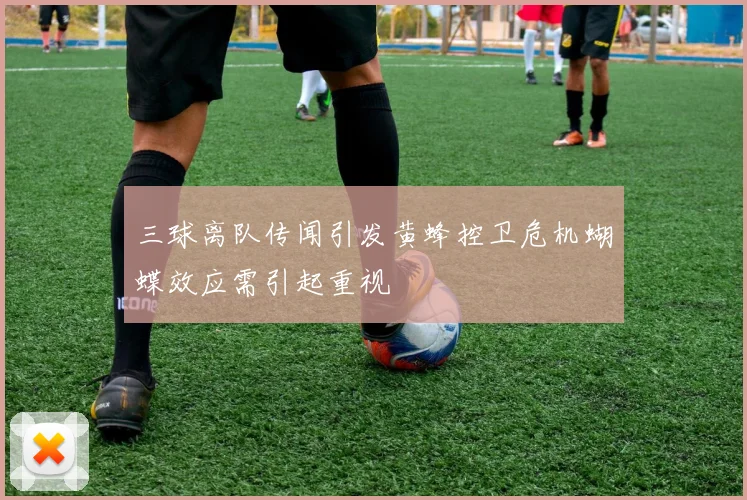 三球离队传闻引发黄蜂控卫危机蝴蝶效应需引起重视